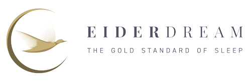 Eiderdaunendecken EIDERDREAM Startseite